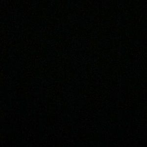 Meet your Posher, Ella